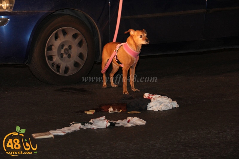 dahas shorta (2).JPG